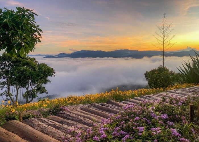 Đà Lạt có rất nhiều cảnh đẹp bình yên