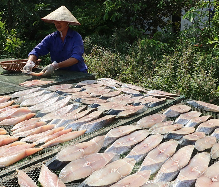 Cá thu một nắng là đặc sản của miền biển