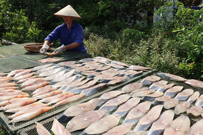 Cá thu 1 nắng là món gì? 