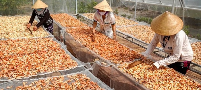 Quy trình chế biến tôm khô Cà Mau 