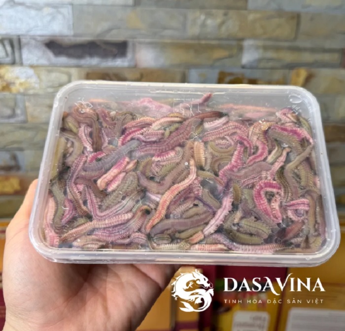 Kinh nghiệm chọn rươi ngon: Cách nhận biết rươi tươi, béo và chất lượng